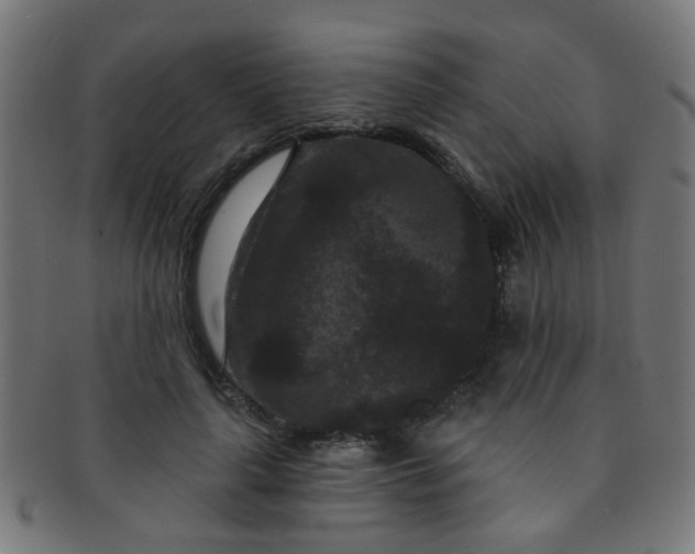 X0000091730643200709071501