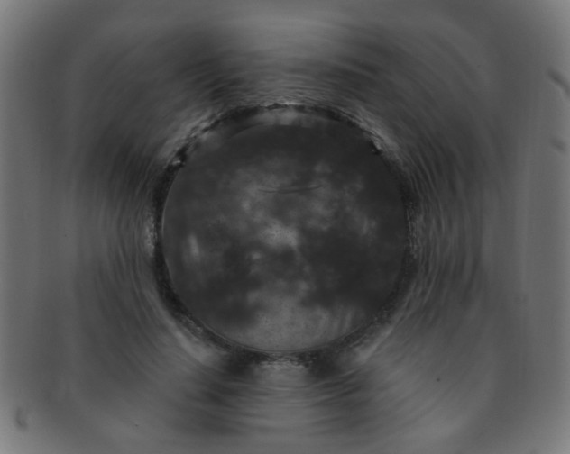 X0000091730644200709071501