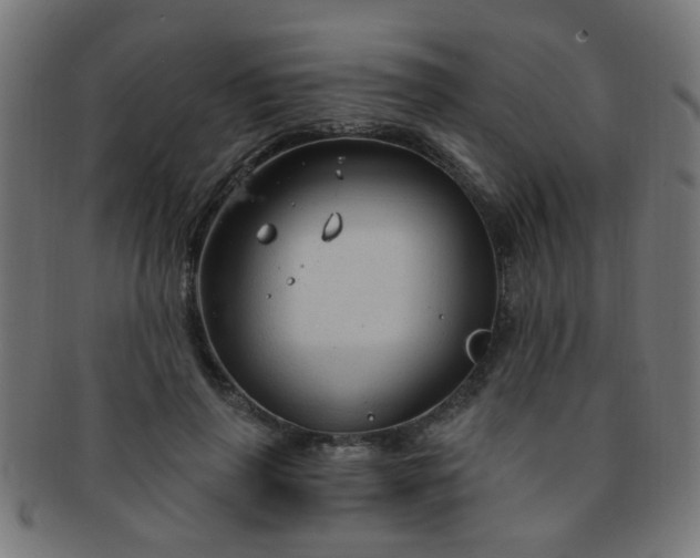 X0000091730645200709071501