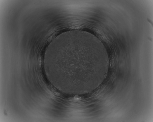 X0000091730647200709071501