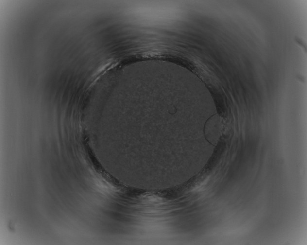 X0000091730648200709071501