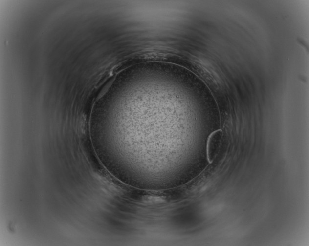 X0000091730649200709071501