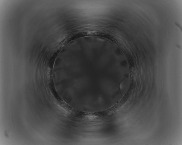 X0000091730650200709071501