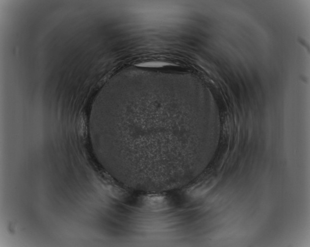 X0000091730651200709071501