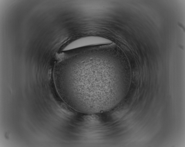 X0000091730652200709071501