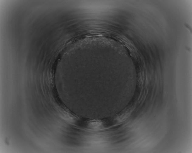 X0000091730653200709071501