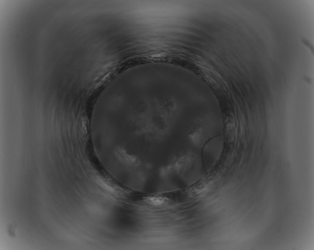 X0000091730654200709071501