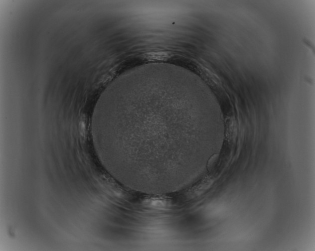 X0000091730655200709071501