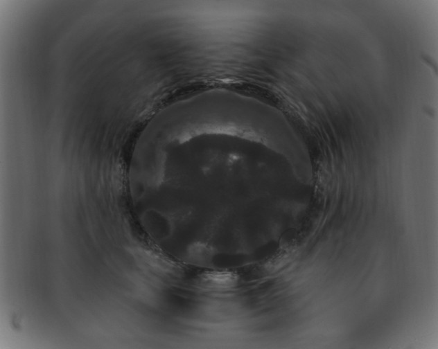 X0000091730659200709071501