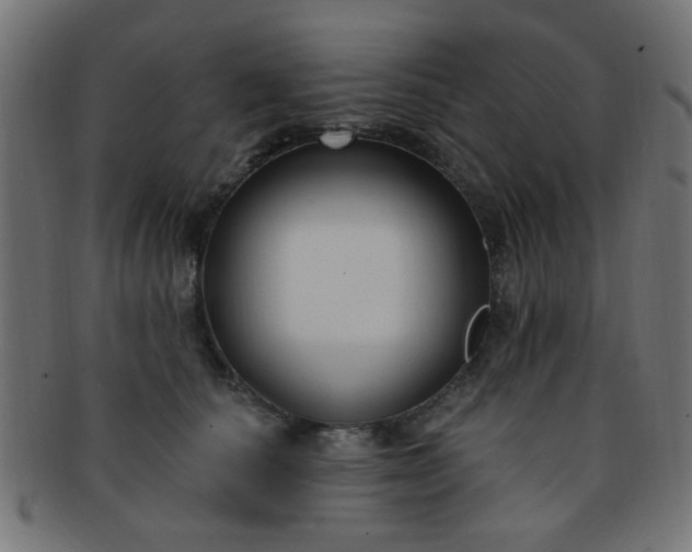 X0000091730660200709071501