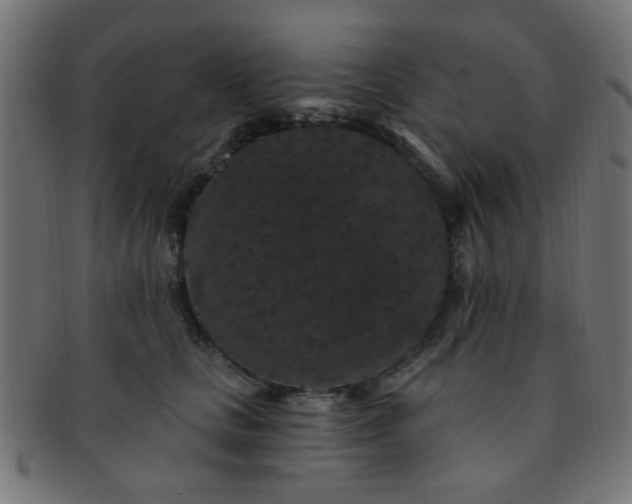 X0000091730661200709071501