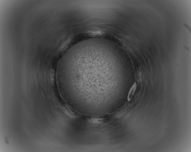 X0000091730664200709071501