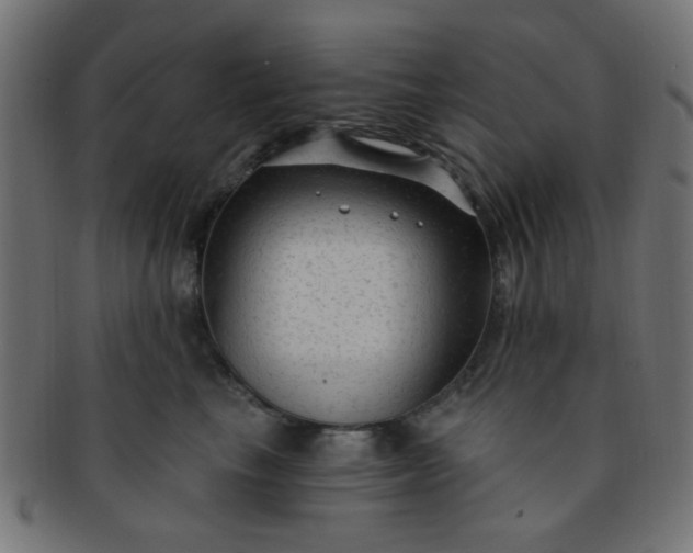 X0000091730665200709071501