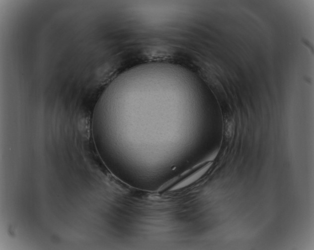 X0000091730666200709071501