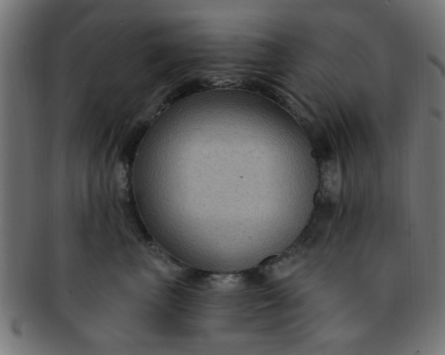 X0000091730667200709071501