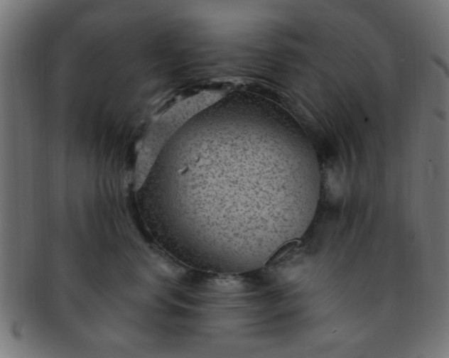 X0000091730668200709071501