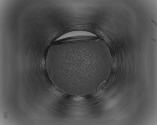 X0000091730669200709071501