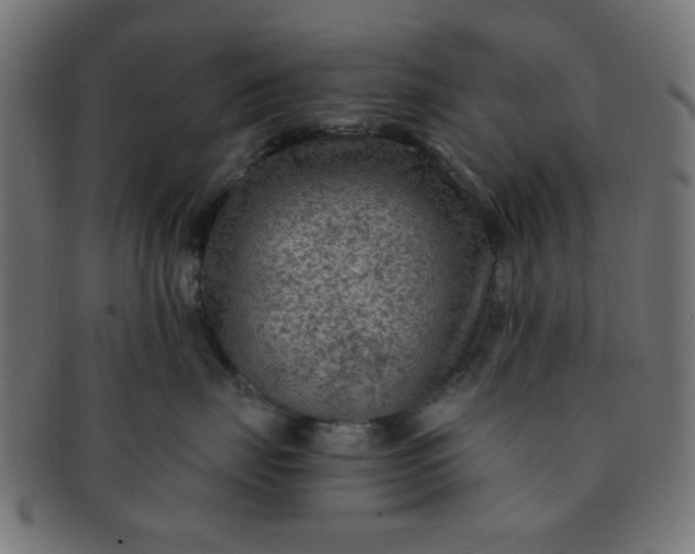 X0000091730671200709071501