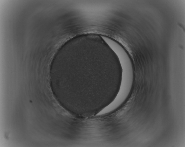 X0000091730673200709071501