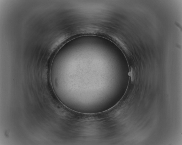 X0000091730675200709071501