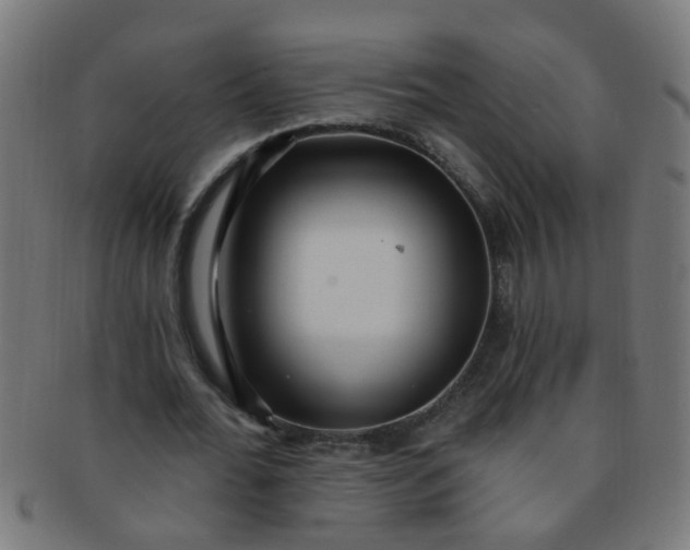 X0000091730676200709071501