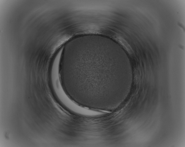 X0000091730677200709071501