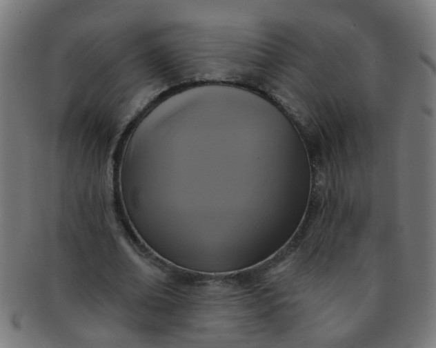 X0000091730678200709071501