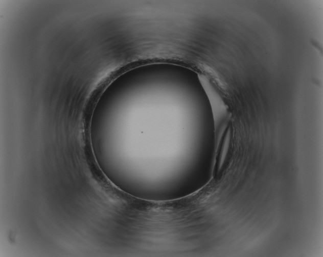 X0000091730680200709071501