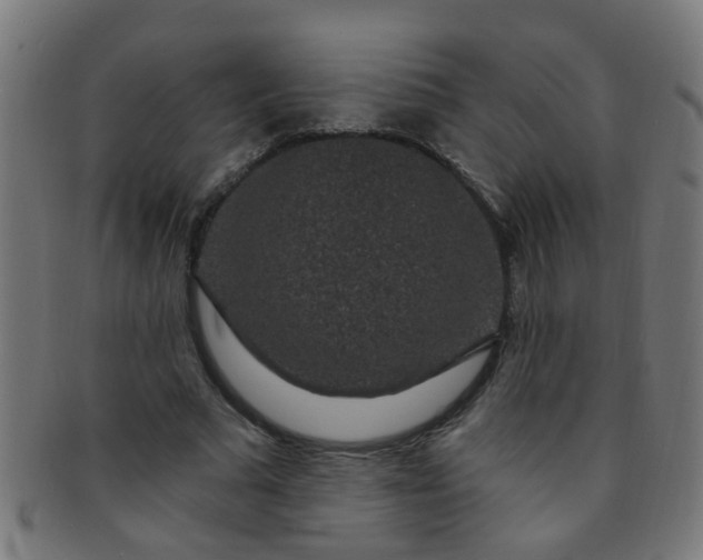 X0000091730681200709071501