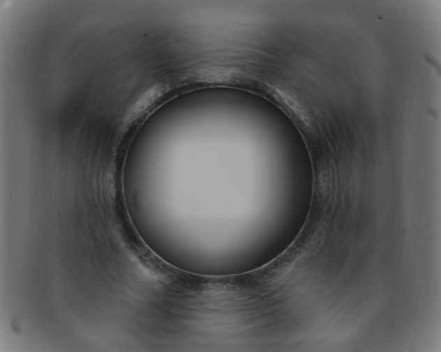 X0000091730682200709071501