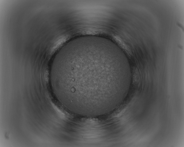 X0000091730683200709071501