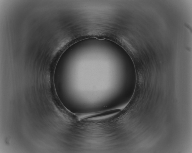 X0000091730684200709071501