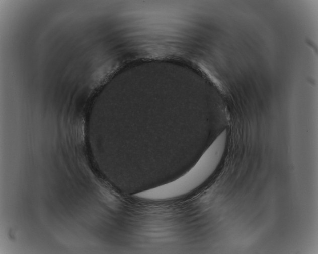 X0000091730685200709071500