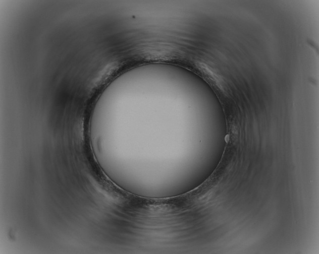 X0000091730686200709071500