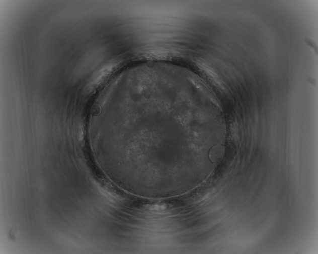 X0000091730687200709071500