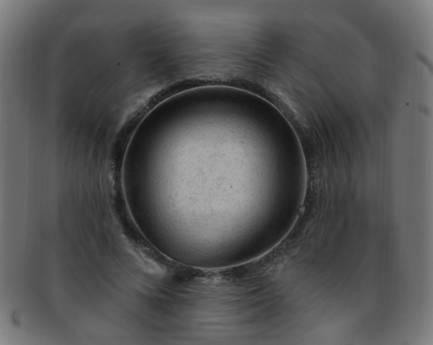 X0000091730688200709071500