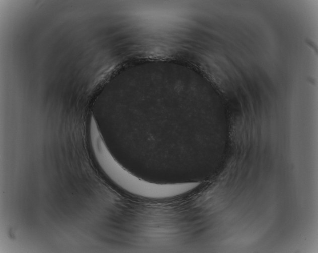 X0000091730689200709071500