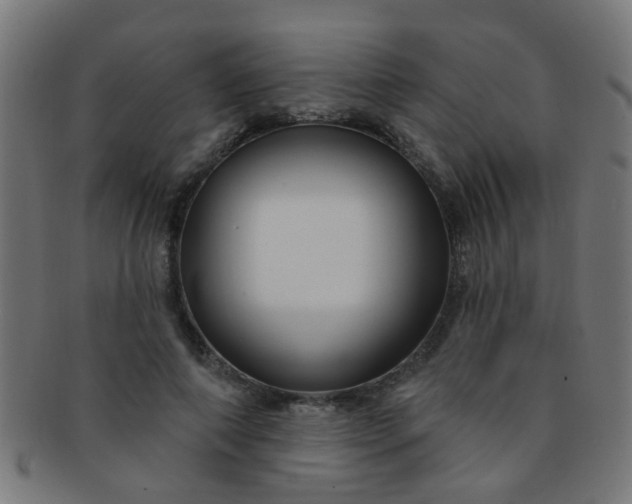 X0000091730690200709071500