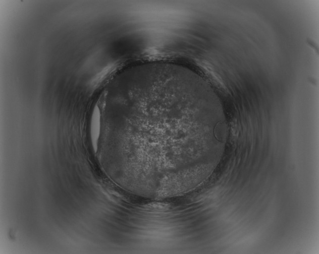 X0000091730691200709071500