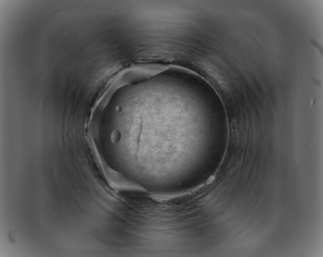 X0000091730692200709071500