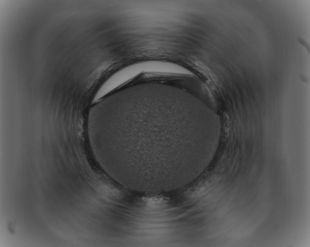 X0000091730693200709071500