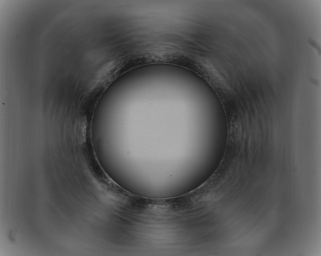 X0000091730694200709071500