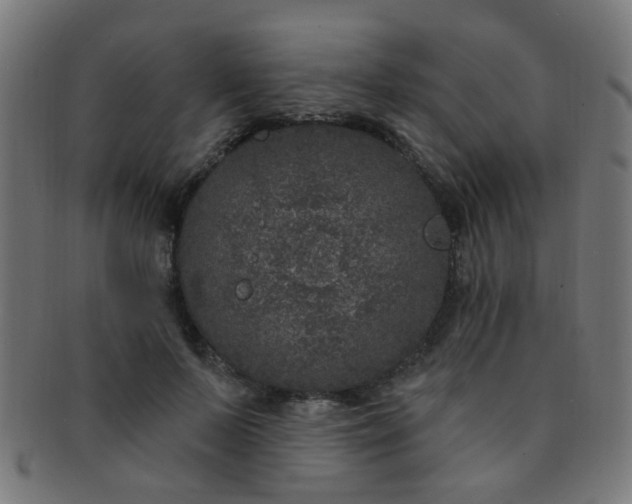 X0000091730695200709071500