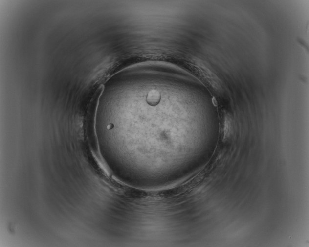 X0000091730696200709071500