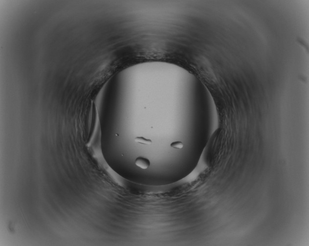 X0000091730697200709071500