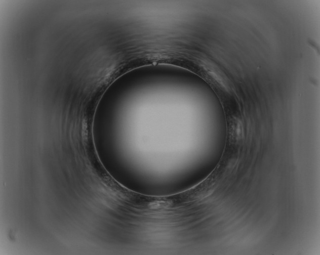 X0000091730700200709071500