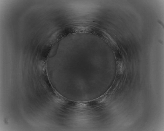 X0000091730701200709071500