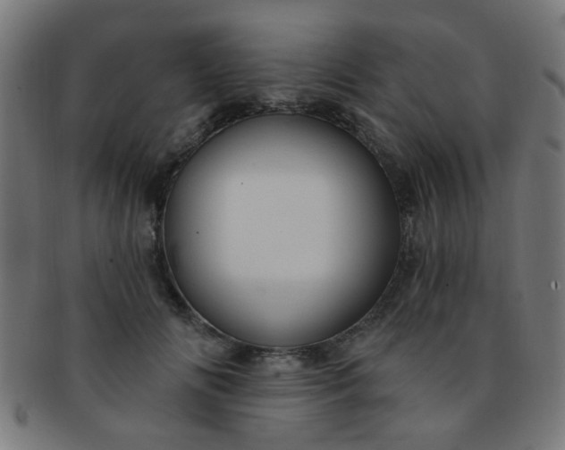 X0000091730702200709071500