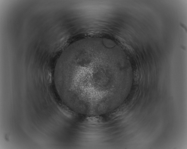 X0000091730703200709071500