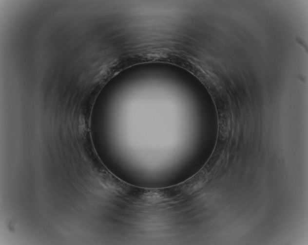 X0000091730704200709071500